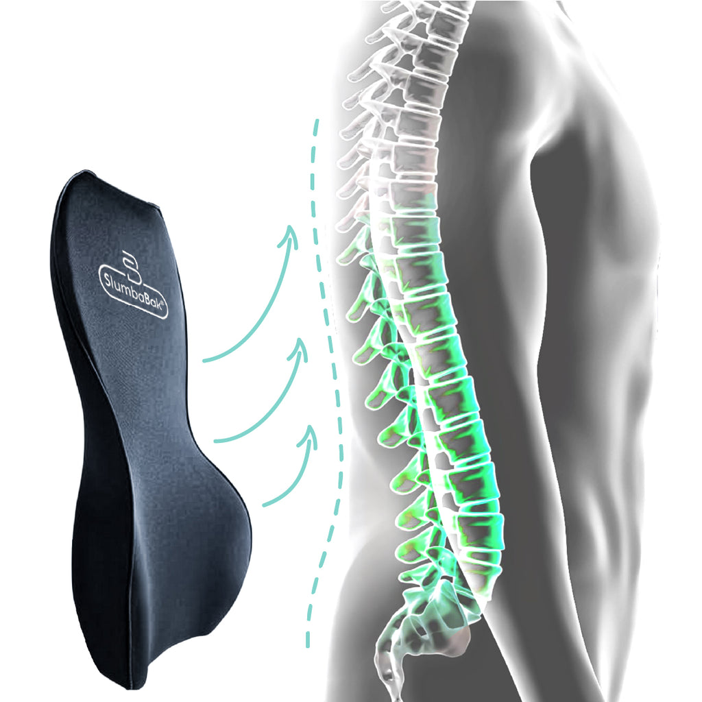 SlumbaBak - Lumbar Support Cushion