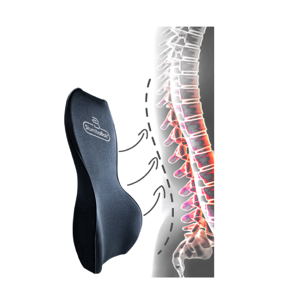 Lumbar Support Cushion - SlumbaBak